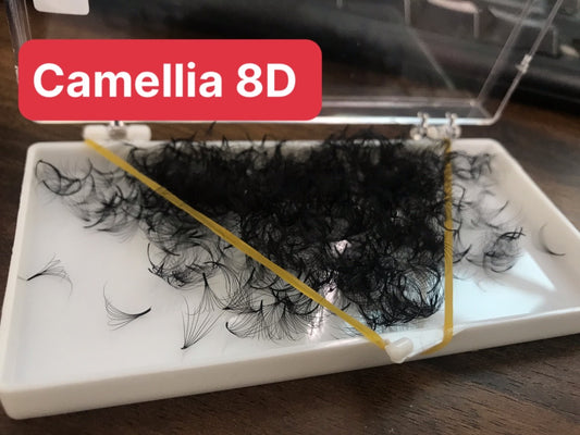 camellia promade fans 8d 0.07 eyelash extensions